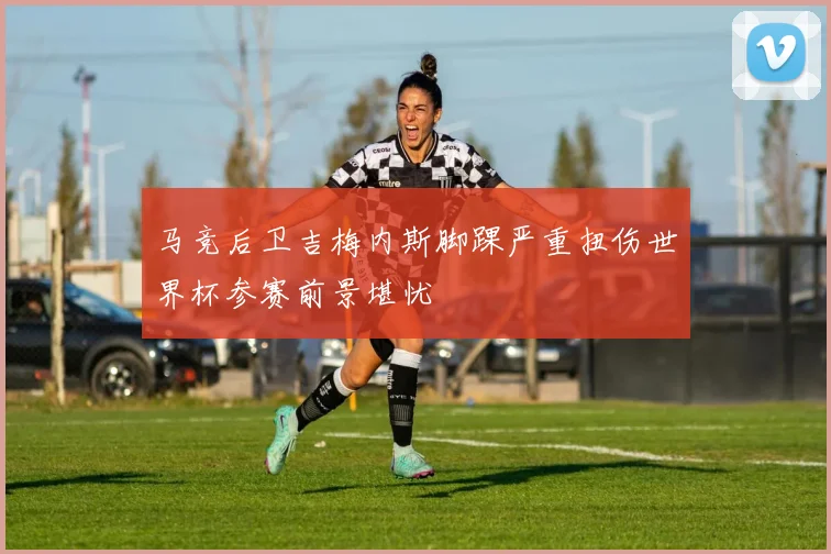 马竞后卫吉梅内斯脚踝严重扭伤世界杯参赛前景堪忧
