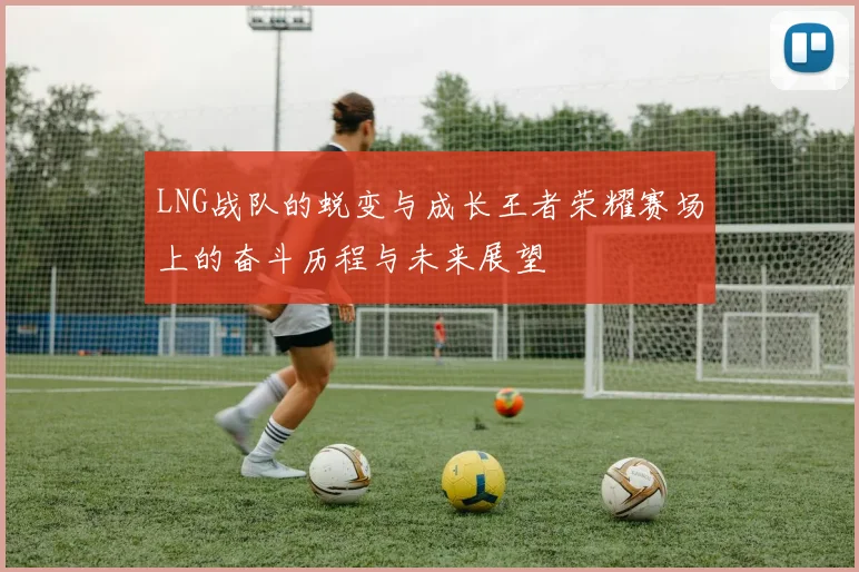 LNG战队的蜕变与成长王者荣耀赛场上的奋斗历程与未来展望